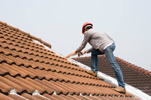 Best Sheet Metal Roofing  in Grandy, NC